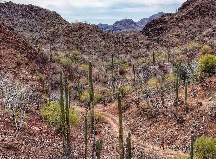 Baja California Ultra Running Wiliam da Roit